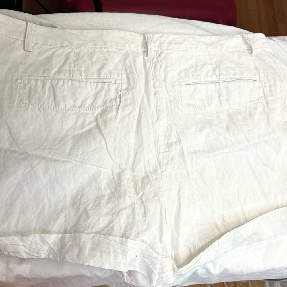 Loft women short  with tag